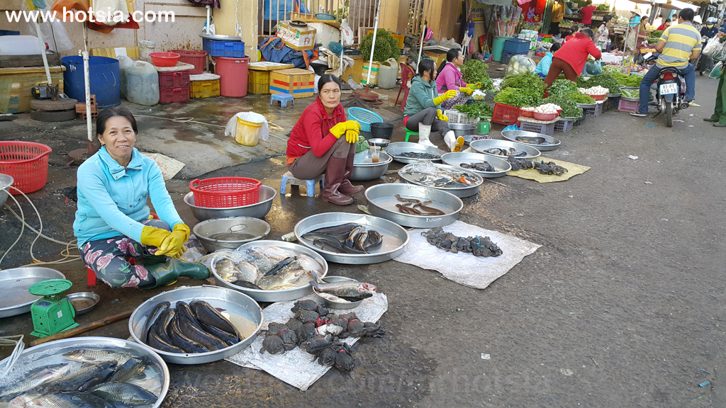 เมืองด่งซอย(Dong Xoai) จังหวัดบิ่ญเฟือก(Binh Phuoc) เมืองด่งซอย(Dong Xoai) จังหวัดบิ่ญเฟือก(Binh Phuoc) 2559