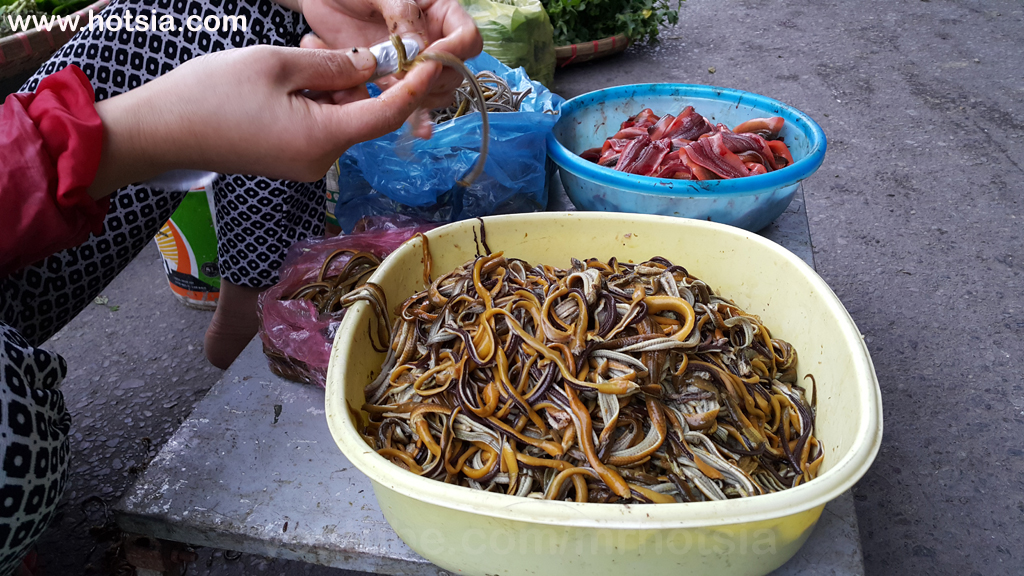 จังหวัดแทงหวา ตลาดเย็นจังหวัดแทงหวา